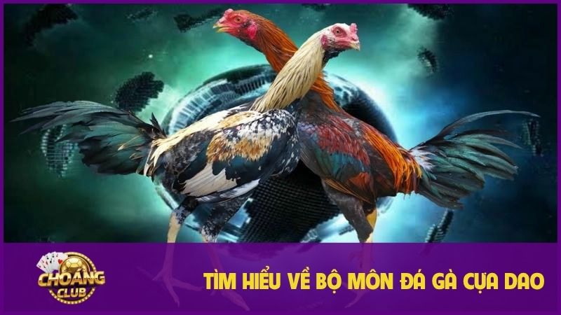 Đá Gà Cựa Dao Choangclub: Trải nghiệm cá cược đỉnh cao 1 Tìm hiểu thông tin chi tiết về đá gà cựa dao