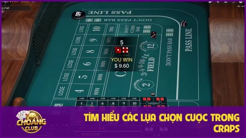 Tìm hiểu các lựa chọn cược trong Craps