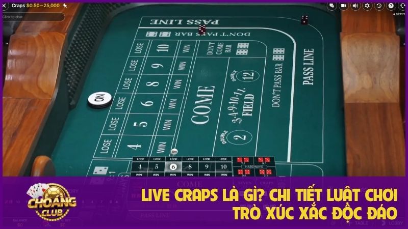 Live Craps là gì? Chi tiết luật chơi trò xúc xắc độc đáo 4 Live Craps là gì? Chi tiết luật chơi trò xúc xắc độc đáo