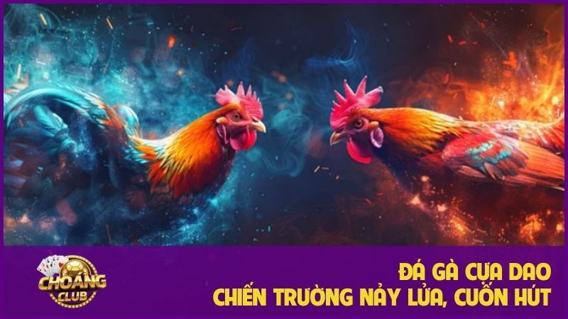 Đá Gà Cựa Dao Choangclub: Trải nghiệm cá cược đỉnh cao 2 Đá gà cựa dao – Chiến trường nảy lửa của chiến kê thép