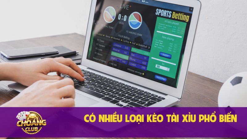 Kèo Tài Xỉu là gì? Các loại kèo O/U chi tiết 1 Có nhiều loại kèo Tài Xỉu phổ biến
