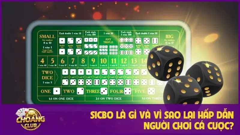 Sicbo là gì và vì sao lại hấp dẫn người chơi cá cược? 5 Sicbo là gì và vì sao lại hấp dẫn người chơi cá cược?